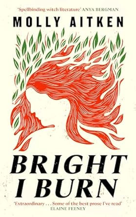Bright I Burn by Molly Aitken