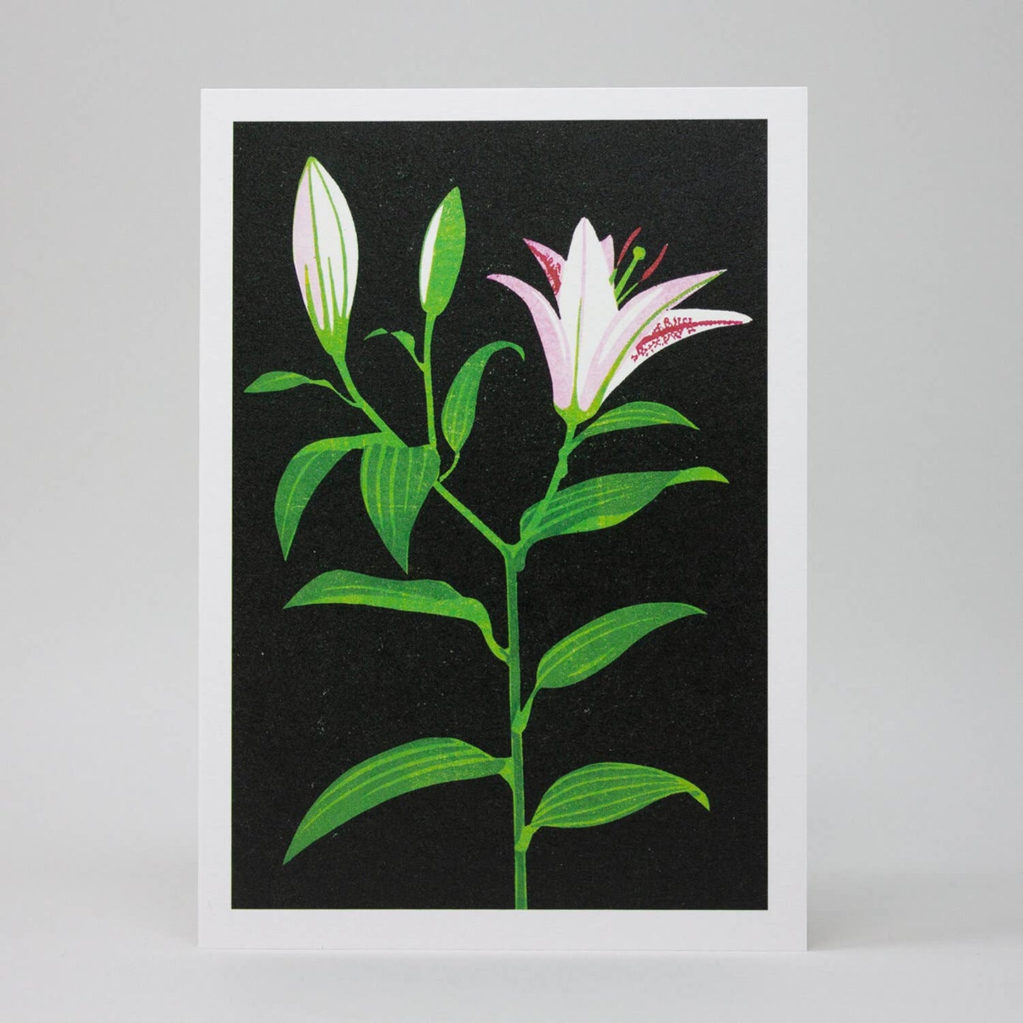 Lily Greeting Card