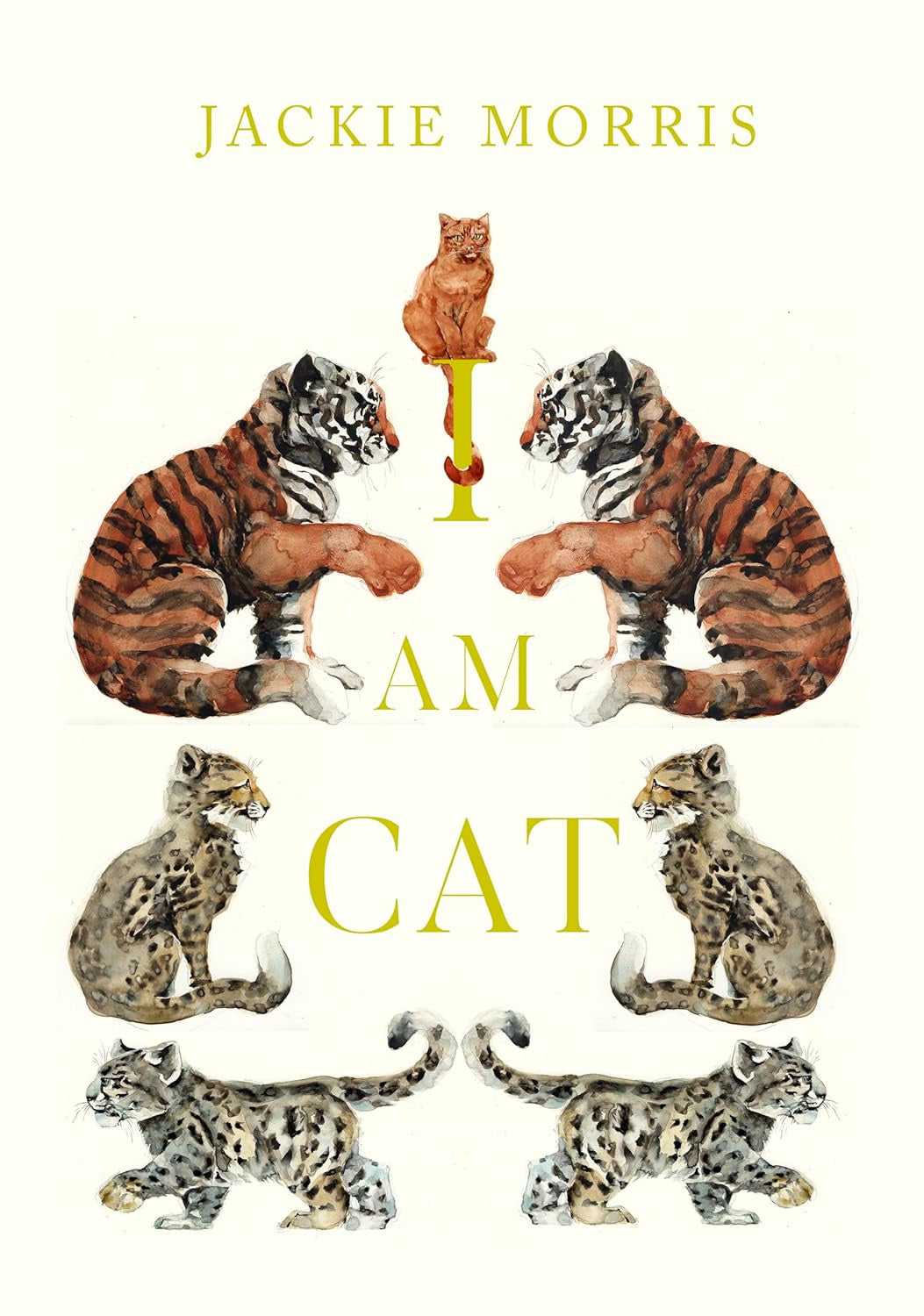 I am Cat by Jackie Morris