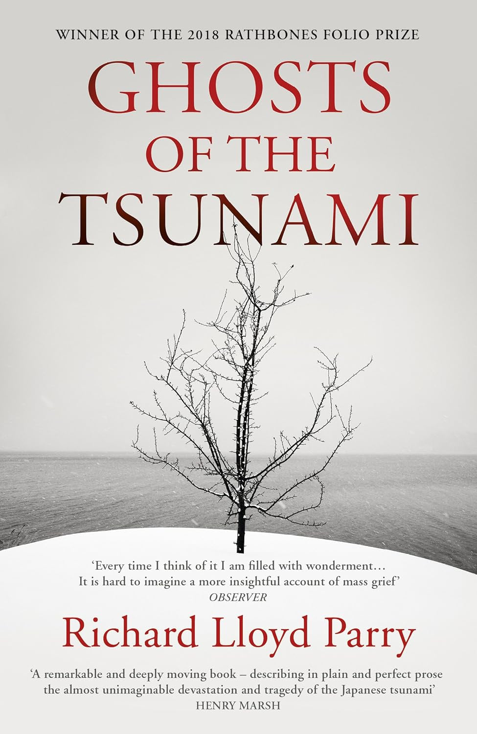 Ghosts of the Tsunami : Death and Life in Japan by Richard Lloyd Parry