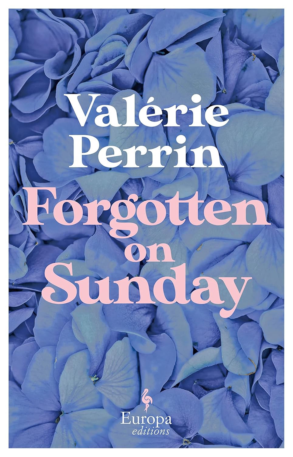 Forgotten on Sunday by Valerie Perri