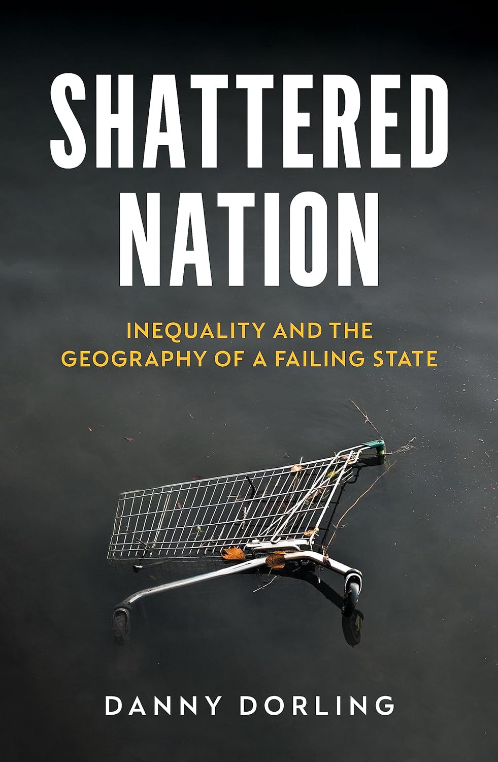 Shattered Nation : Inequality and the Geography of A Failing State by Danny Dorling