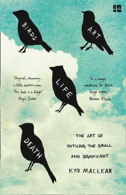 Birds Art Life Death : The Art of Noticing the Small and Significant by Kyo Maclear
