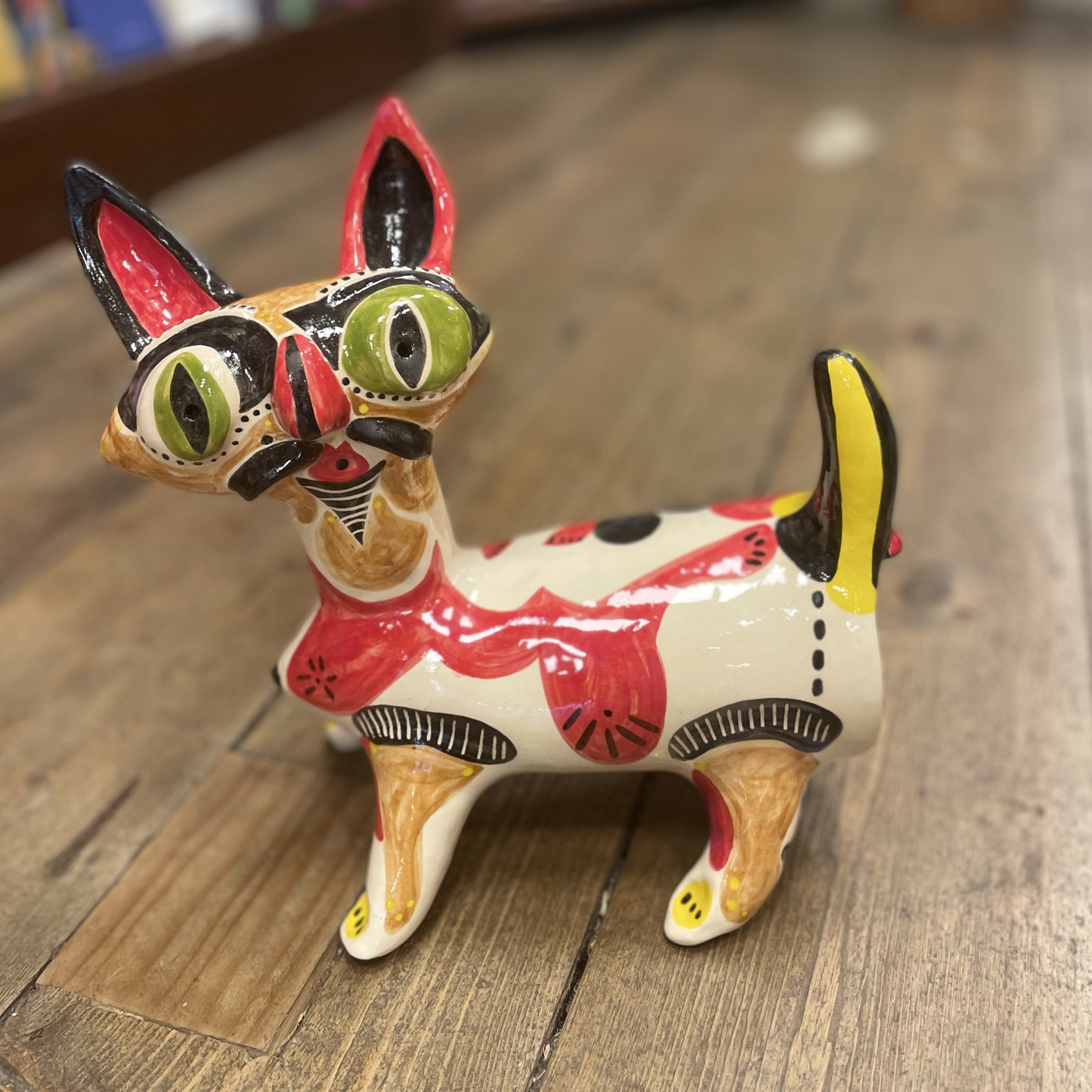 Carious The Cat