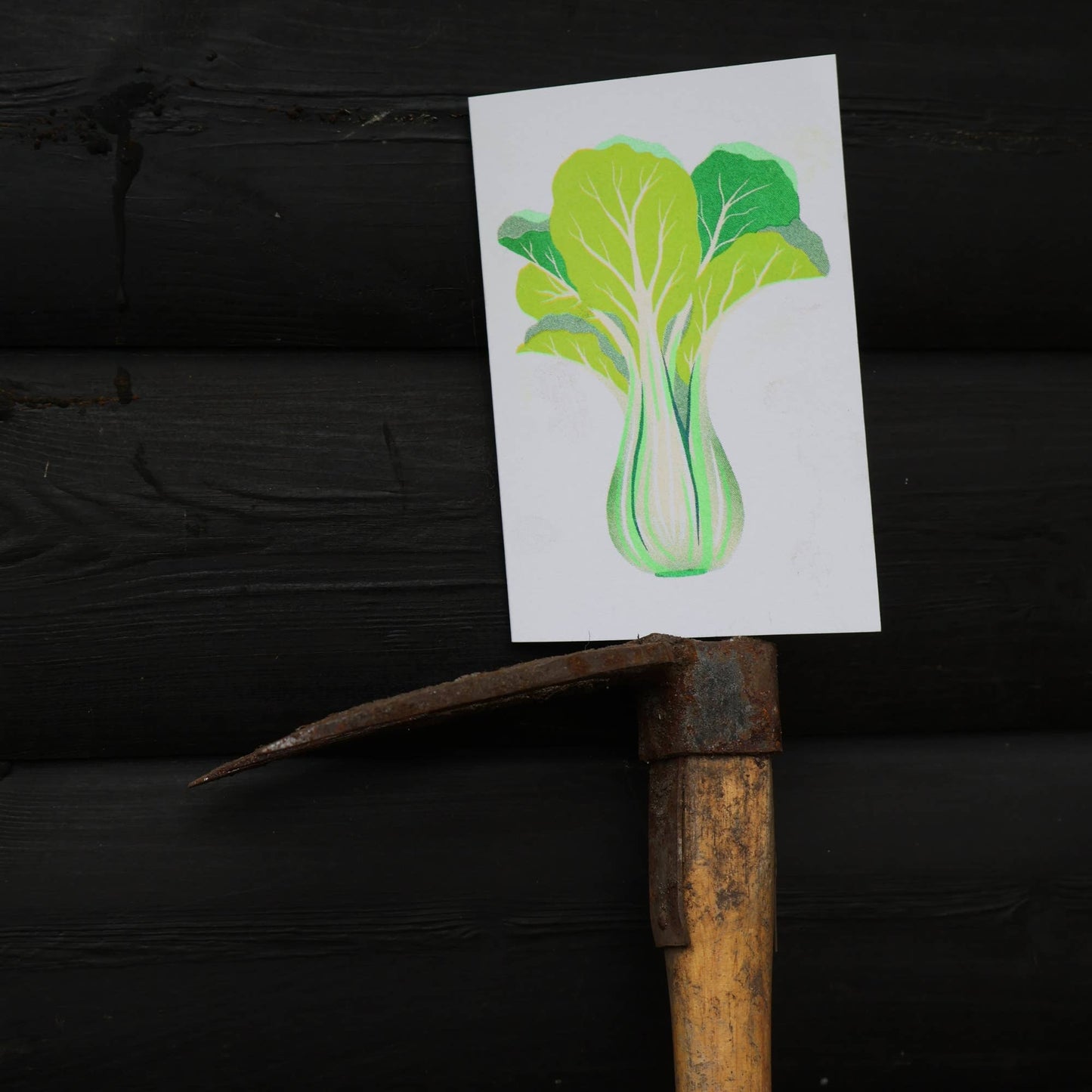 Pak Choi Card