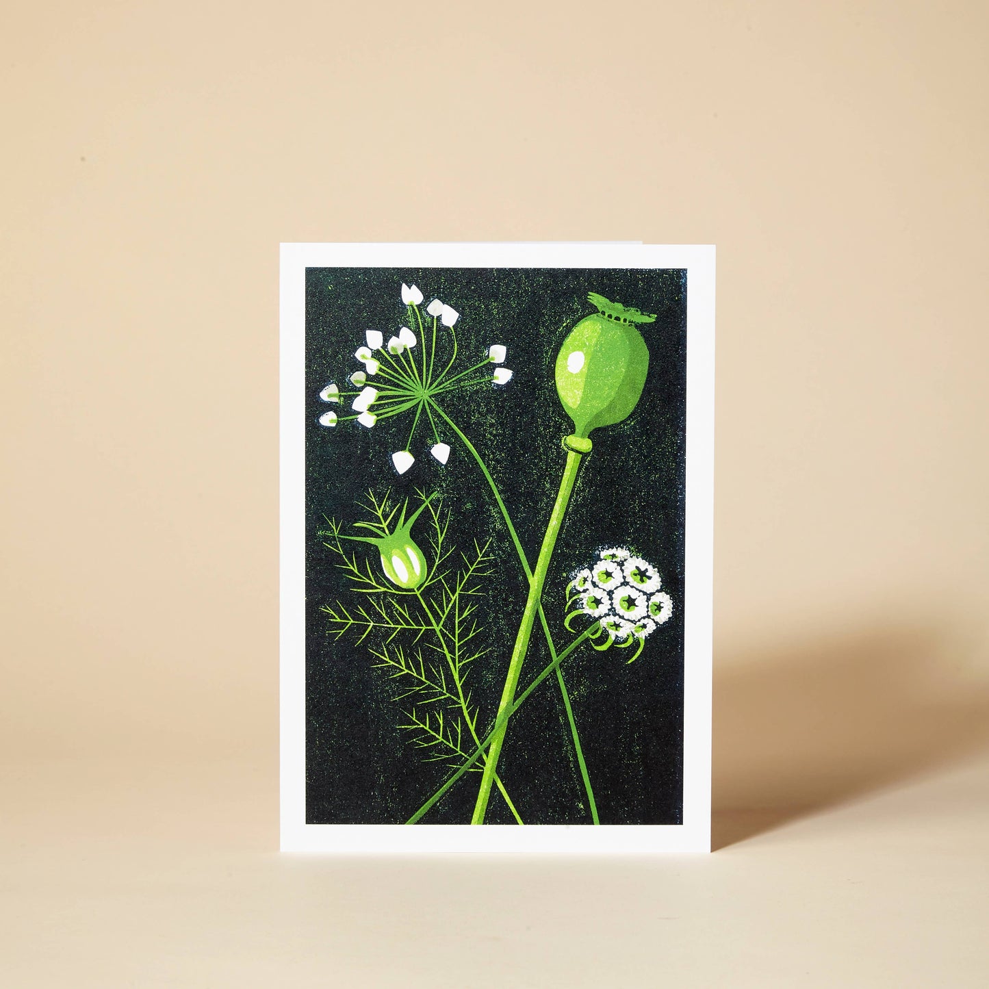 Seed Heads Greeting Card