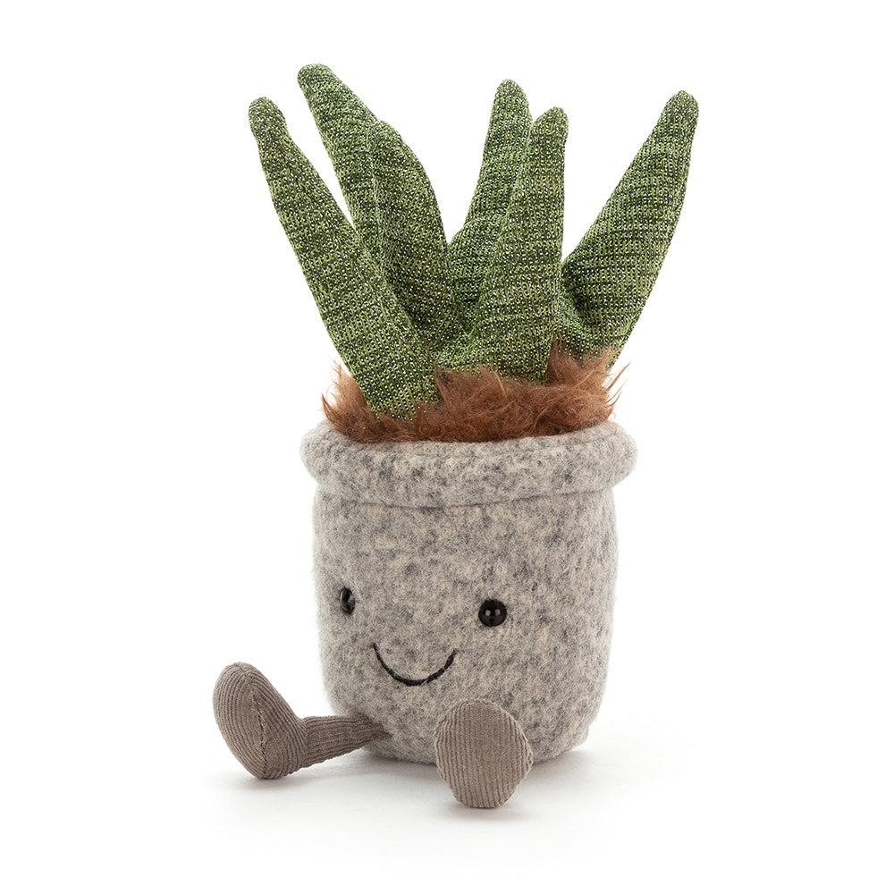 Silly Succulent Aloe