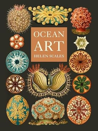 Ocean Art : From the Shore to the Deep by Helen Scales