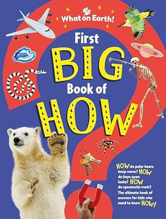 First Big Book of How: The ultimate book of answers for kids who need to know HOW! by Sally Symes and Saranne Taylor