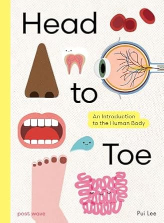 Head to Toe : An Introduction to the Human Body by Pui Lee