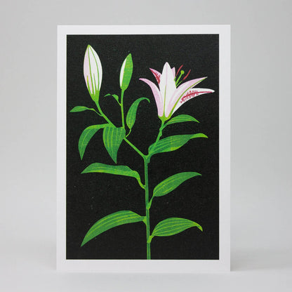 Lily Greeting Card
