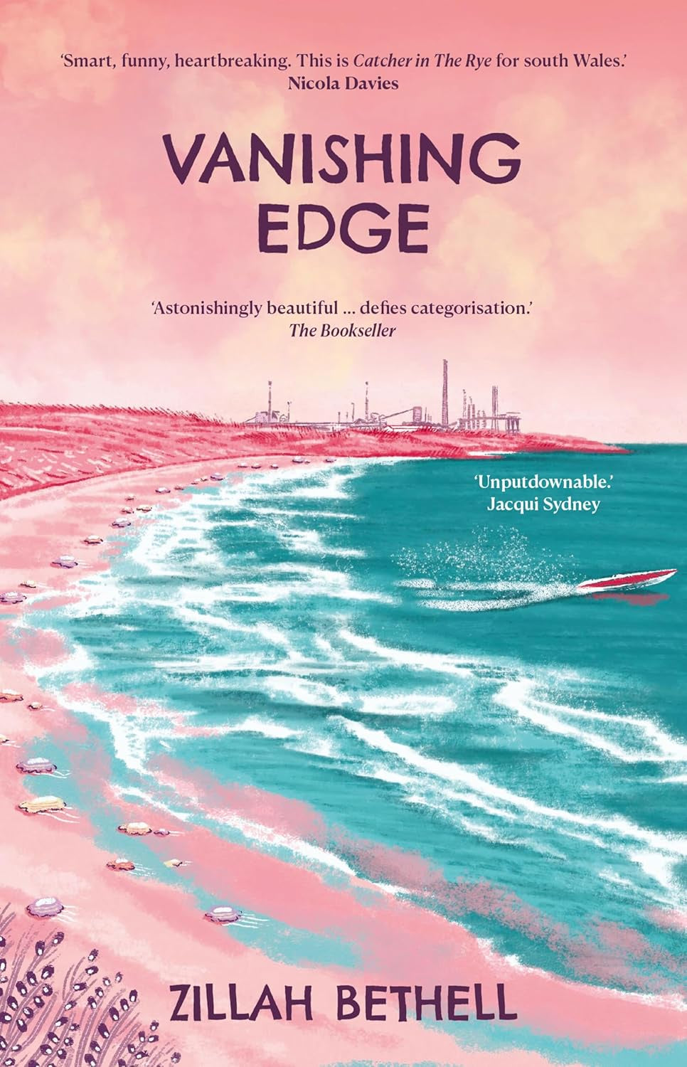 Vanishing Edge by Zillah Bethell