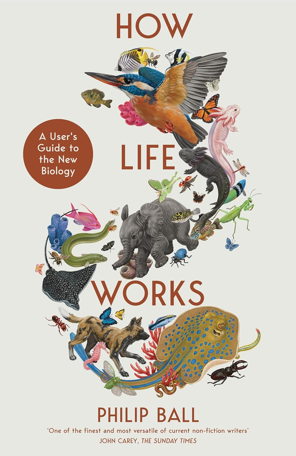 How Life Works : A User’s Guide to the New Biology by Philip Ball
