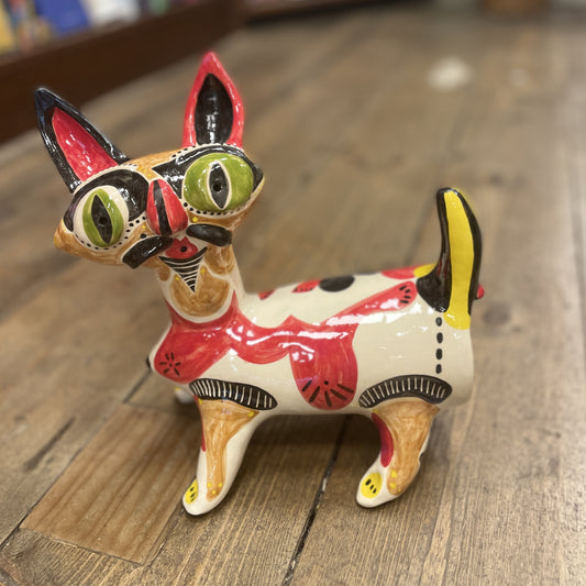 Carious The Cat