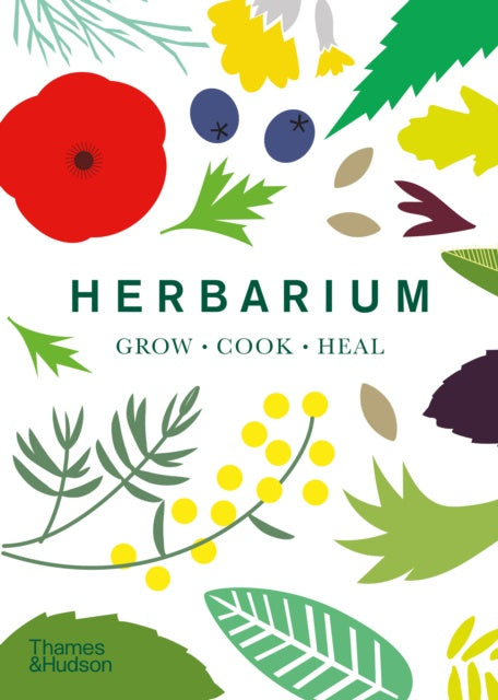 Herbarium : One Hundred Herbs * Grow * Cook * Heal by Caz Hildebrand
