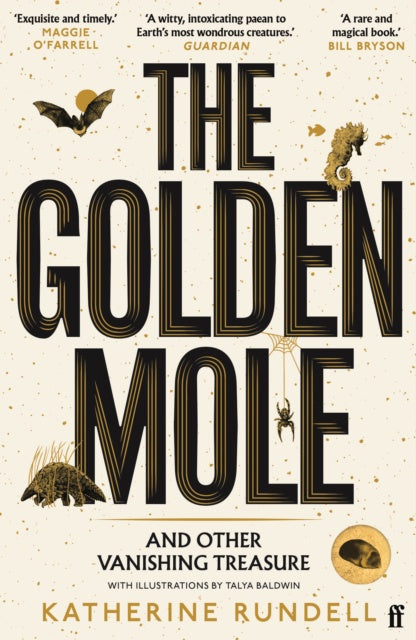 The Golden Mole by Katherine Rundell