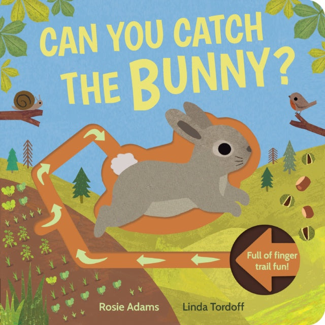 Can You Catch the Bunny? by Rosie Adams